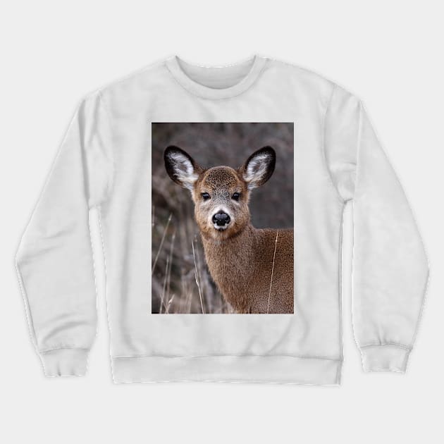 'Cutie Petootie' - White-tailed Deer Crewneck Sweatshirt by Jim Cumming